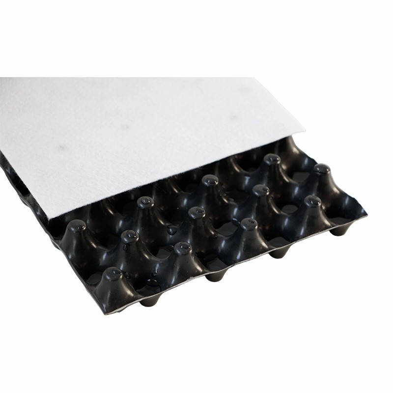 Geocomposite Sheet Drain factory